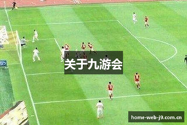 关于九游会
